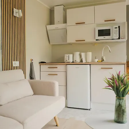 Puhkemaja-2 Dom wakacyjny Auksi