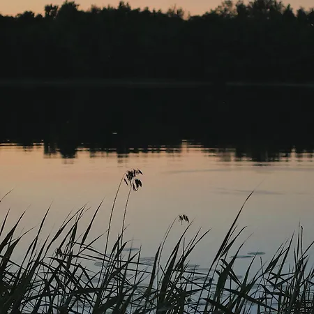 Puhkemaja-2 Auksi
