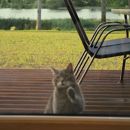 Vikendica Puhkemaja-2 *