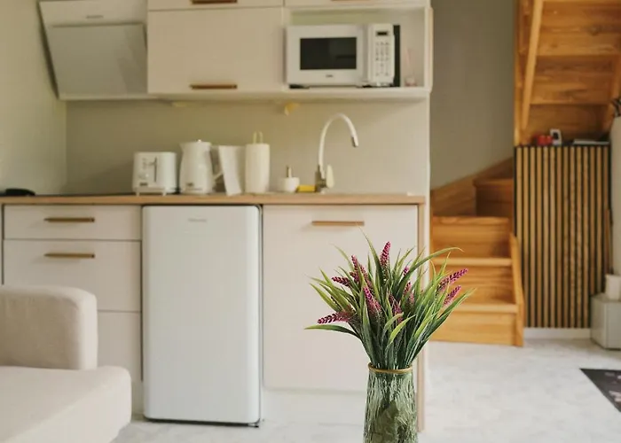 Hébergement de vacances Puhkemaja-2 Auksi