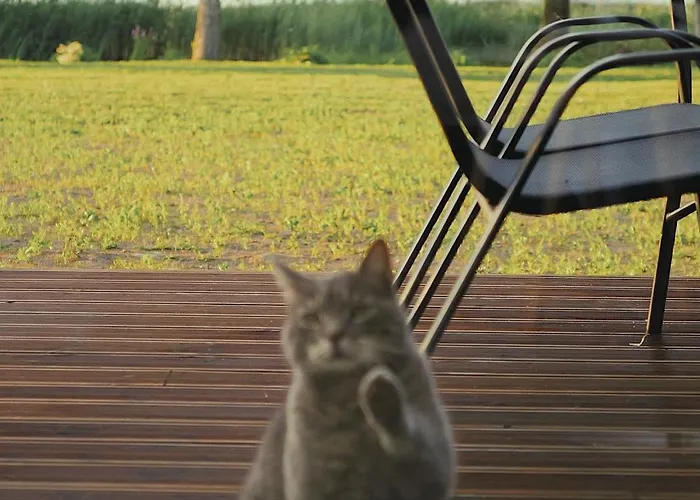 Hébergement de vacances Puhkemaja-2 *